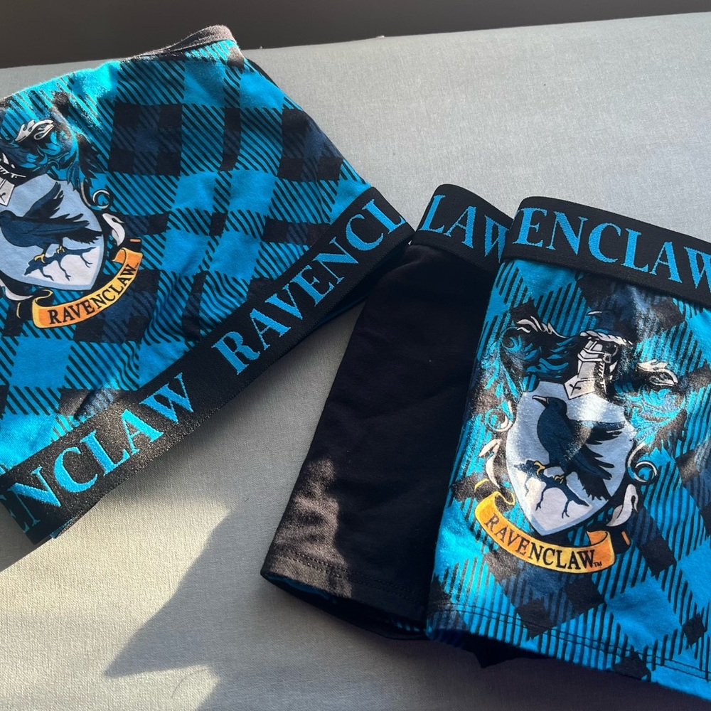 Torrid x Harry Potter - Ravenclaw Sports Bra and Boyshort Set